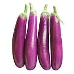 Golden Hills Farm® (AVG 500-2000) seeds BRINJAL PURPLE LONG SEEDS