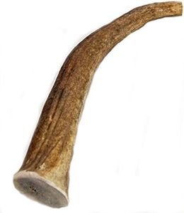 Elk Antler
