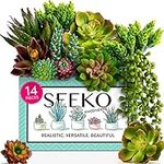 Seeko Artificial Succulents (14 Pac