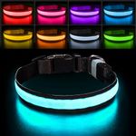 PcEoTllar Light Up Dog Collar, Dog Collar Light for Night, Rechargeable Flashing LED Dog Collar Adjustable for Small Medium Large Dog, Waterproof 7 Colors Glowing Dog Collar, Black(8 Modes)-M