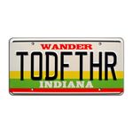 Stranger Things | TODFTHR | Metal Stamped License Plate