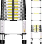 Telescopic Ladder, 4.4M Stainless S