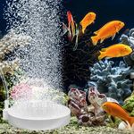 Water Bubbler For Fish