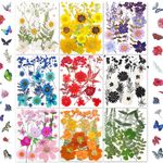 OECOO 285PCS Small Dried Pressed Butterfly Sticker Flower for Resin,Real Nature Pressing Floral Leaves for DIY Craft, Mold, Jewelry Making, Candle Scrapbooking Supplies