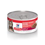 Hill's Science Diet Adult Canned Cat Food, Savory Salmon Entrée, 5.5 oz, 24 Pack wet cat food