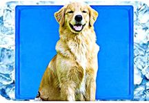 Petahouse (New Edition) Soft Cooling Pad for Dog XL with Activated Self Pressure Comfort Mat | Heat Relief Pet Bed Specially Designed for Extra Large Breeds (Pack of 1)