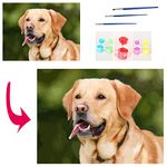 CleverFine Personalized Paint by Numbers Kit for Adults, Make Your Own Digital Painting Pets Portraits Baby Photos, Acrylic Paint,Custom Canvas DIY Oil Painting (12"×16"/30cm×40cm Withframe)