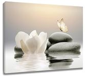 EOBTAIN Zen Water Lily Canvas Wall Art White Floral and Yellow Butterfly on Stone Bedroom Wall Decor Modern Spiritual Yoga Spa Painting Picture Artwork Bathroom Decor 20x16 Inches