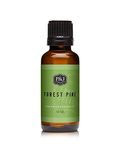 Forest Pine Premium Grade Fragrance Oil - Scented Oil - 30ml