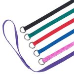 Downtown Pet Supply Slip Leads, Kennel Leads with O Ring (24 pack) for Dog Pet Animal Control Grooming, Shelter, Rescues, Vet, Veterinarian, Doggy Daycare - 4 foot Length x 5/8 inch Width