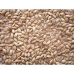 Johnston & Jeff Whole English Barley 20kg