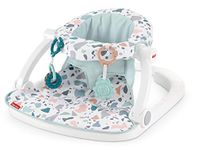 Fisher-Price Portable Baby Chair Sit-Me-Up Floor Seat with Developmental Toys Machine Washable Seat Pad, Pacific Pebble