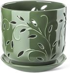 EFISPSS Orchid Pots with Holes, 7 I