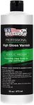 U.S. Art Supply Professional High Gloss Varnish, 16 oz (Pint) - Acrylic Medium, Clear Permanent Protective Finish for Paintings & Artwork, Apply Over Dry Acrylic Paint - Glossy Shine, UV Protection