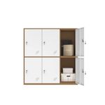 MECOLOR Metal Office and Home Locker Cabinet with 6 Doors Storage for Cloth Shoes or bags,two layer 3 componet locker cabinet, metal cabinet for school and living room(White, 6D)