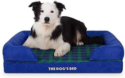The Dog’s 