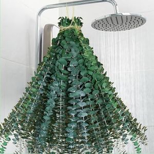 40 Pcs Dried Preserved Eucalyptus Shower Bundle,17" Natural Fresh Hanging Eucalyptus Leaves Stems Real Plant , Vase Filler Home, Wedding Decor