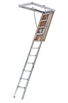 Ceiling Ladders