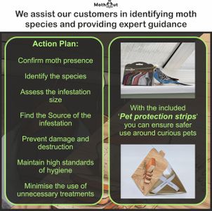 MothOut 12-Pack Moth & Fly Traps – Clothes, Pantry, Carpet, Glowing Pads
