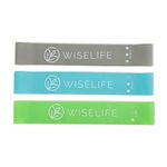 Wiselife Professional Latex Resistance Mini Band - (Set of 3) | 48x4 inch |100% Natural Latex Resistance Band | for Warm-Up, Stretching,Cardio,Home Fitness,Exercise,Gym Workout, Physiotherapy & Yoga