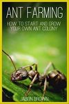 Ant Farming: How to Start and Grow Your Own Ant Colony