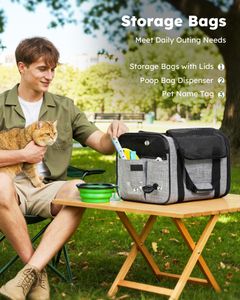 Pecute Pet Carrier Bag, Portable Cat & Dog Travel Handbag – Grey, M, Under 5kg