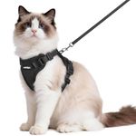 rabbitgoo Cat Harness and Lead Set, Adjustable Escape Proof Cat Lead for Walking, Reflective Kitten Harness Set, Soft and Comfortable for Medium to Large Cats, Black, M