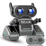 Remote Control Toy Robots