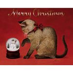 LANG Snowy Wonder Boxed Christmas Cards (1004839)