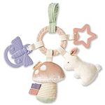 Itzy Ritzy Teething Activity Toy - Bitzy Busy Ring Features Braided Teething Ring and Dangling Toys; Includes Teether, Textured Ribbons, Crinkle Sound & Jingle Bell, Bunny