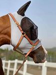 TGW RIDING Horse Fly Mask Super Comfort Horse Fly Mask Elasticity Fly Mask with Ears(L, Light Gray)