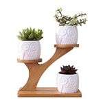 3pcs Owl planters for Indoor Plants with 3 Tier Bamboo Saucers Stand Holder, White Ceramic Flower Planter Succulent Plant Pot with Drainage, Home Office Desk Garden Mini Cactus Planter