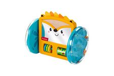 Fisher-Price Play & Crawl Hedgehog Mirror, tummy time and crawling toy for babies ages 3 months & up