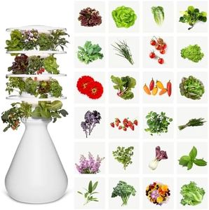 Lettuce Gr