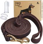 LWBMG Leather Dog Leash 6ft, Heavy 