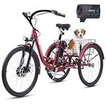 Viribus Electric Tricycle for Adult