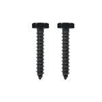 Lag Screws