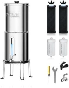 Purewell S