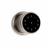 Ozone OZ-FDL-11-Life-Black Smart Lock with Google Assistant & Alexa Enabled (without Wi-Fi Gateway, Gold)