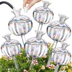 NiHome Cactus-Shaped Glass Plant Se