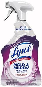 Lysol Mold