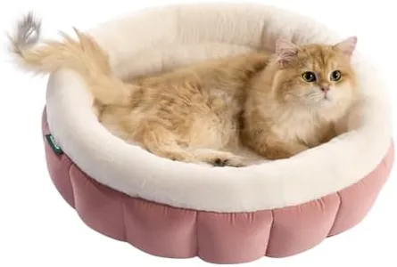 BALANCE Round Cat Beds for Indoor Cats - Donut Dog Beds for Small Dogs, Washable Pet Bed for Puppy and Kitten with Anti-Slip Bottom