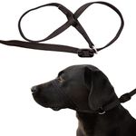 Gencon - All-in-One Anti Pull Dog Lead and Headcollar - Trainer Approved - Figure of 8 Dog Lead with Soft Loop Handle, Gentle Control - Right Hand - Washable - UK Made - Black