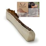 Elk Antler For Dogs