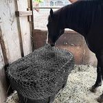 Hay For Horses