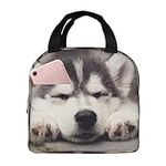 JYQCNSMJYB2 Husky Dog Print Light Durable Tote Bag for Office Work School Insulated Lunch Box for Women and Men