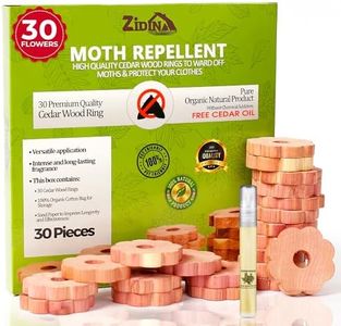 Zidina Ant