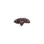 Fender 351 Plectrums Heavy (Pack of 12)