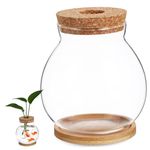 DRESSOOS Terrarium Container Goldfish Bowl Betta Fish Bowl Hydroponic Terrarium Vase Hydroponic Plant Terrarium Plant Stand Fish Tank Glass Fish Bowl with Lid Office Dill Bamboo