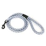 Kurgo Back Bay(TM) Dog Leash, Blue